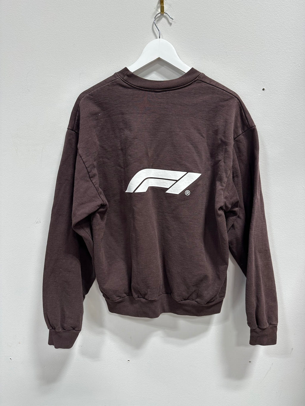 Formula 1 x PacSun Official F1 Logo Graphic Crewneck Sweatshirt - Brown - Large