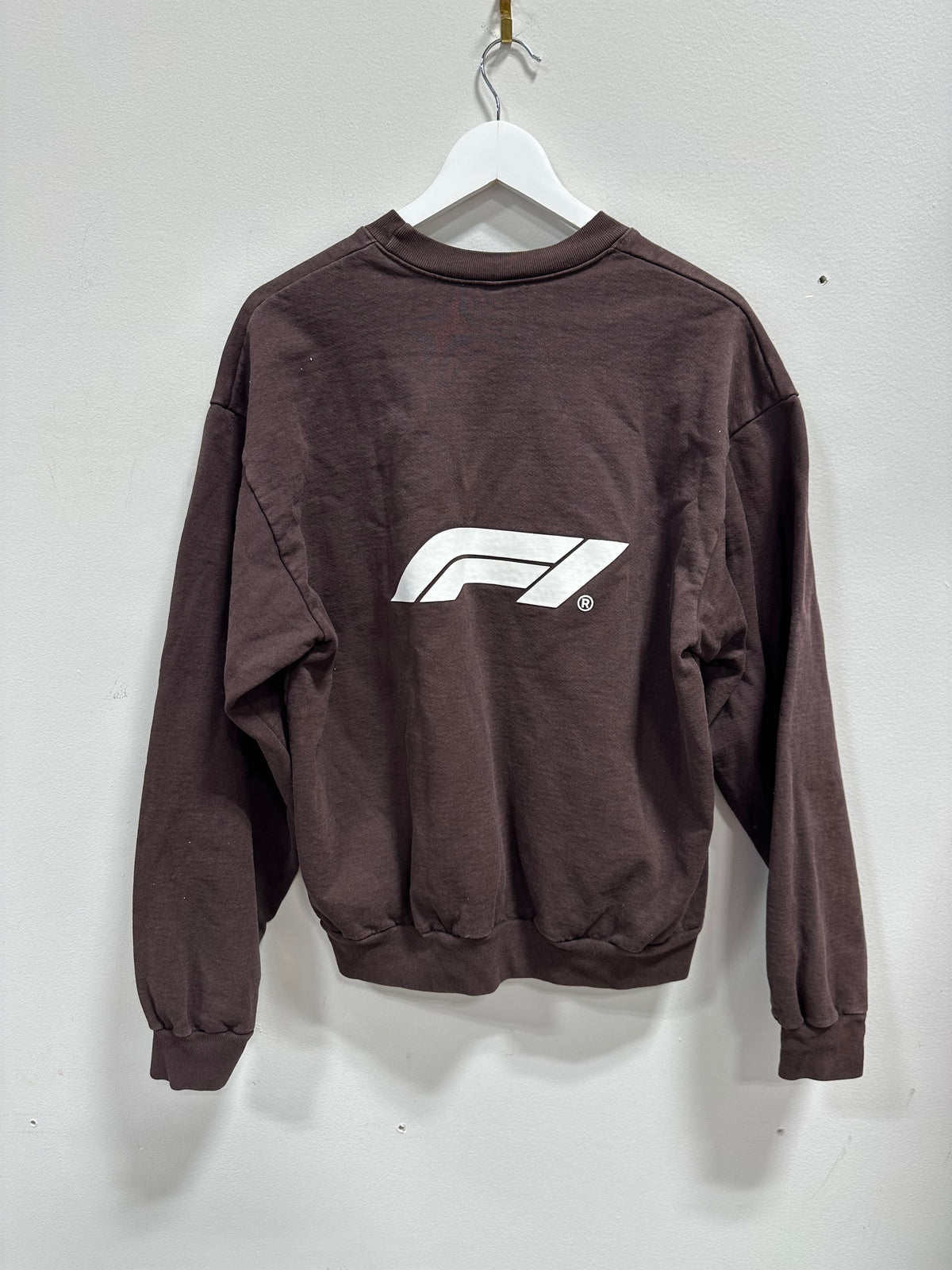Formula 1 x PacSun Official F1 Logo Graphic Crewneck Sweatshirt - Brown - Large