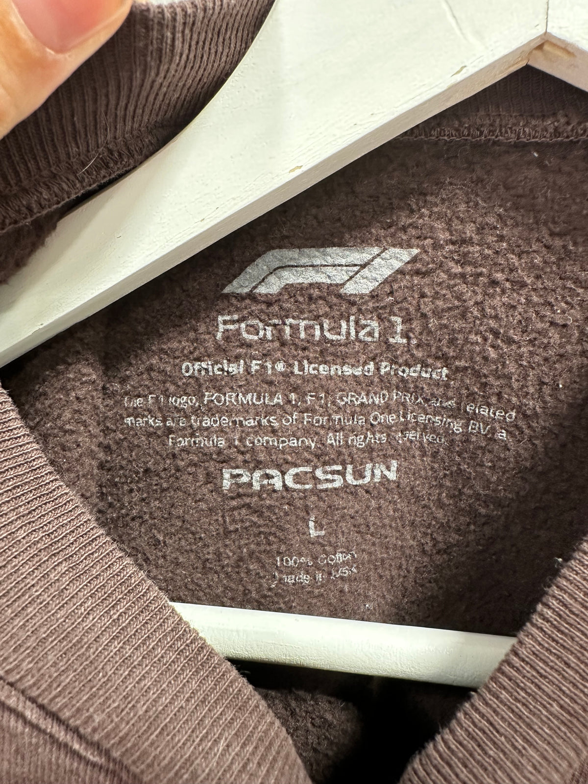 Formula 1 x PacSun Official F1 Logo Graphic Crewneck Sweatshirt - Brown - Large