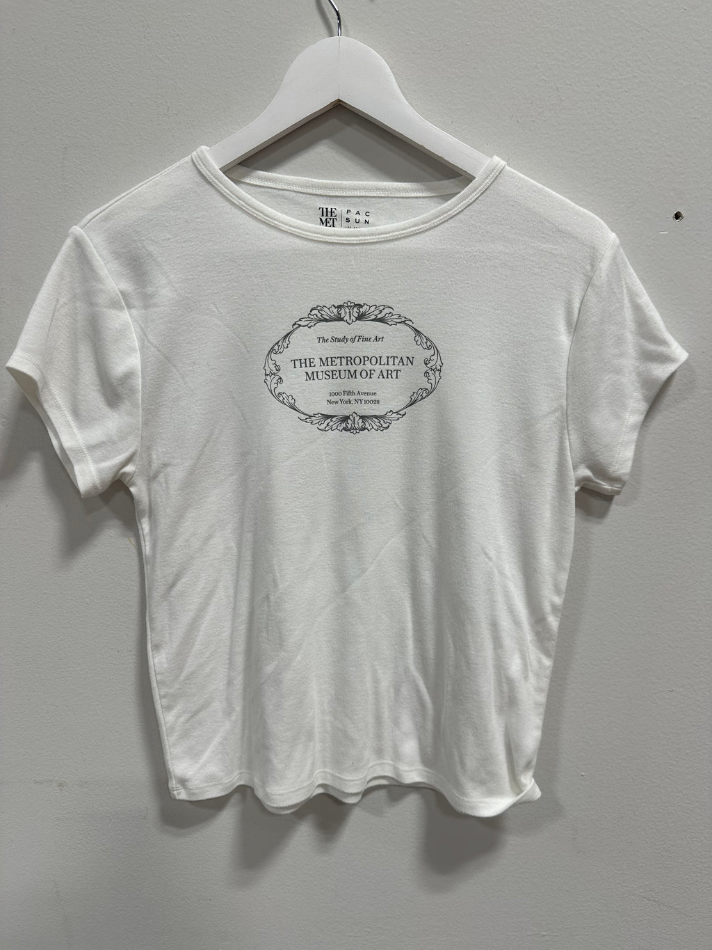 PacSun x The Met White Graphic Tee The Study of Fine Art Shirt Size XL