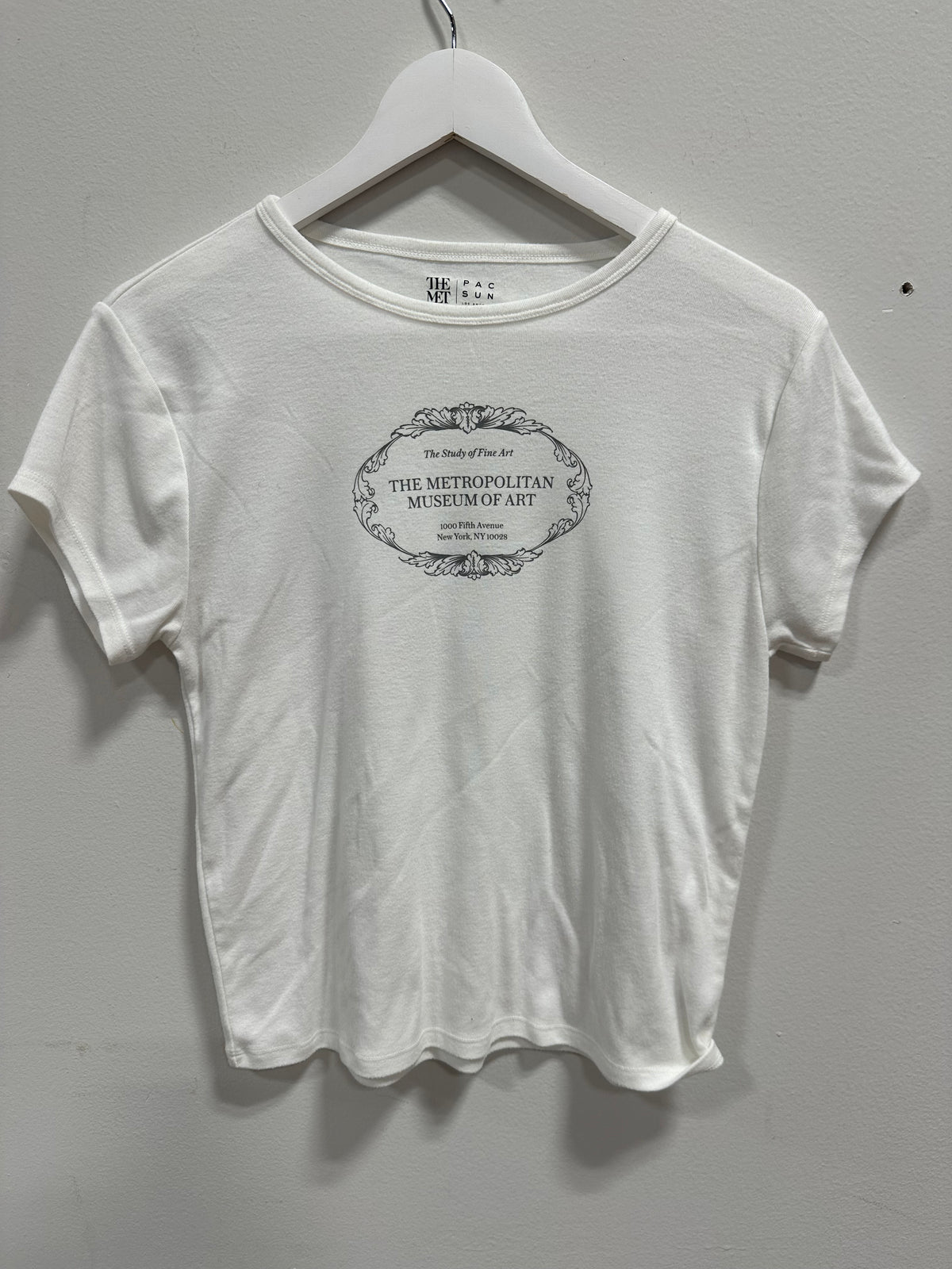 PacSun x The Met White Graphic Tee The Study of Fine Art Shirt Size XL