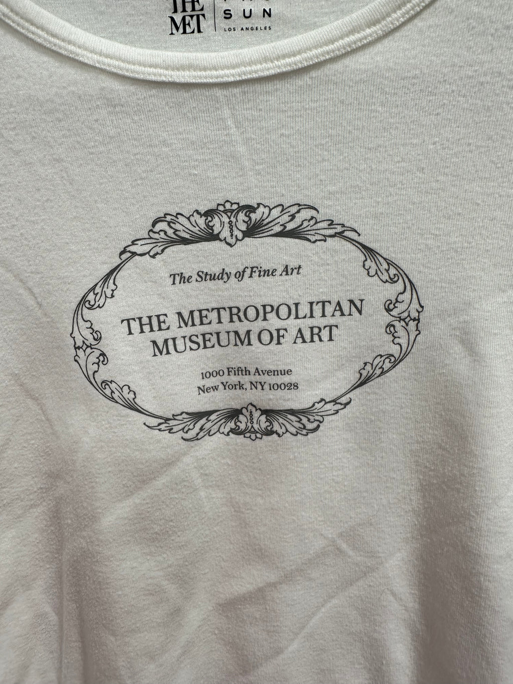 PacSun x The Met White Graphic Tee The Study of Fine Art Shirt Size XL