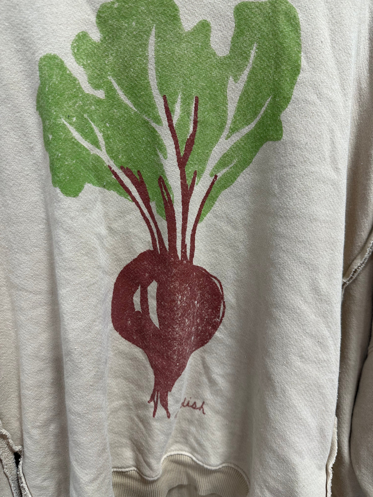 Free People We The Free Graphic Camden Radish Combo Pullover Sweatshirt Size M