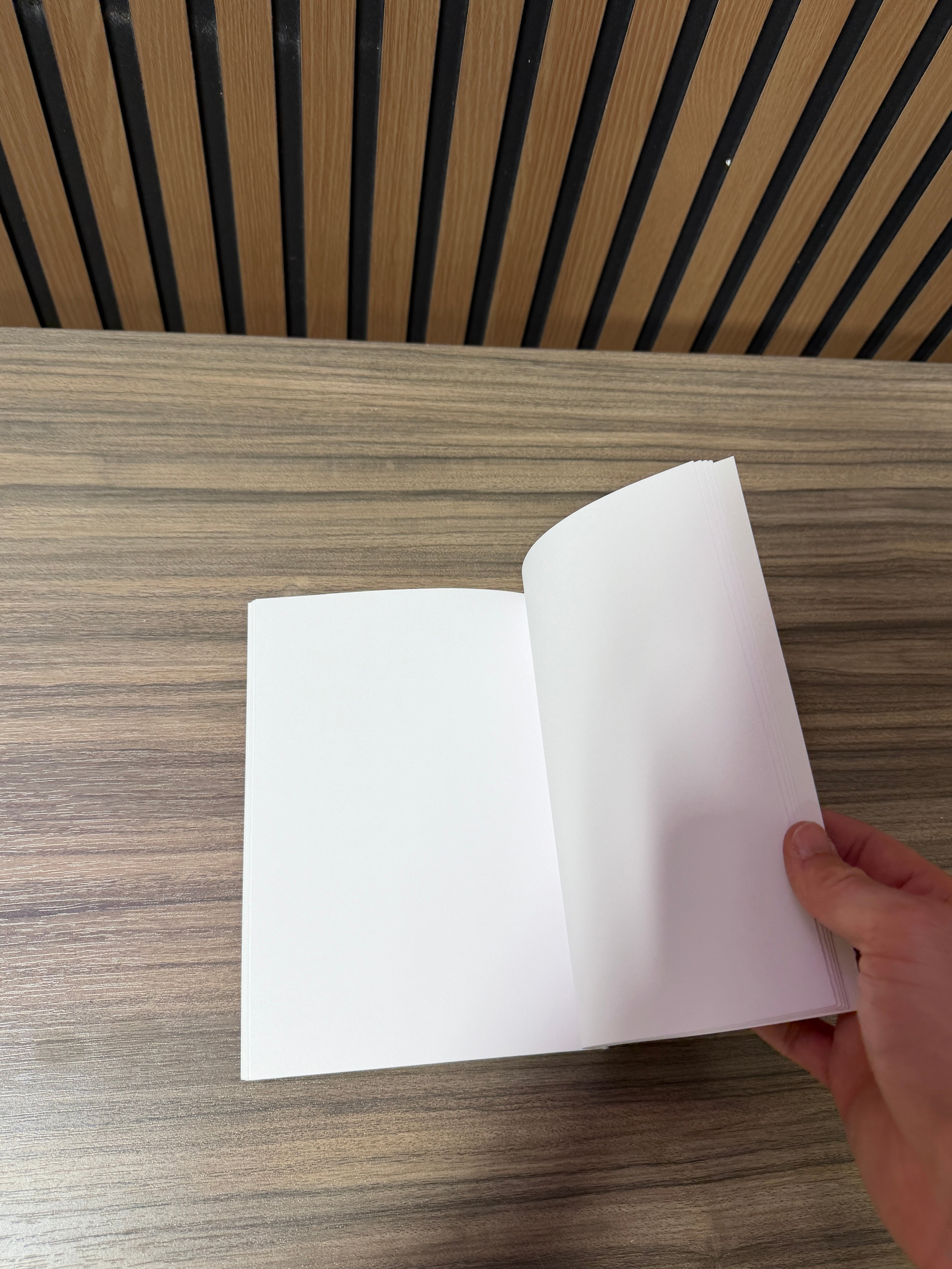 kaws gone collectable paperback notebook rare NGV collaboration