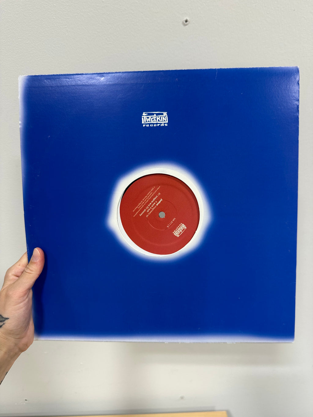 Joshua – Imagineairy EP 12" Vinyl (2002, Tweekin Records – TWK 011) US Pressing