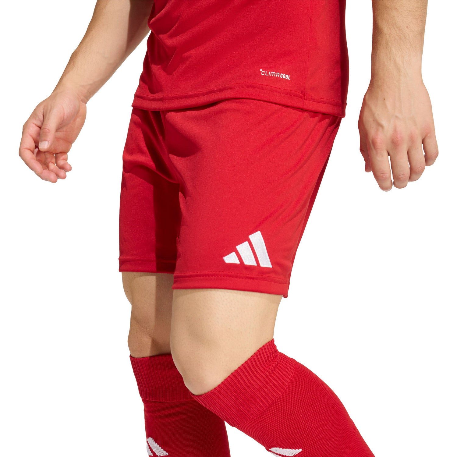 Adidas Entrada 26 Shorts Men's