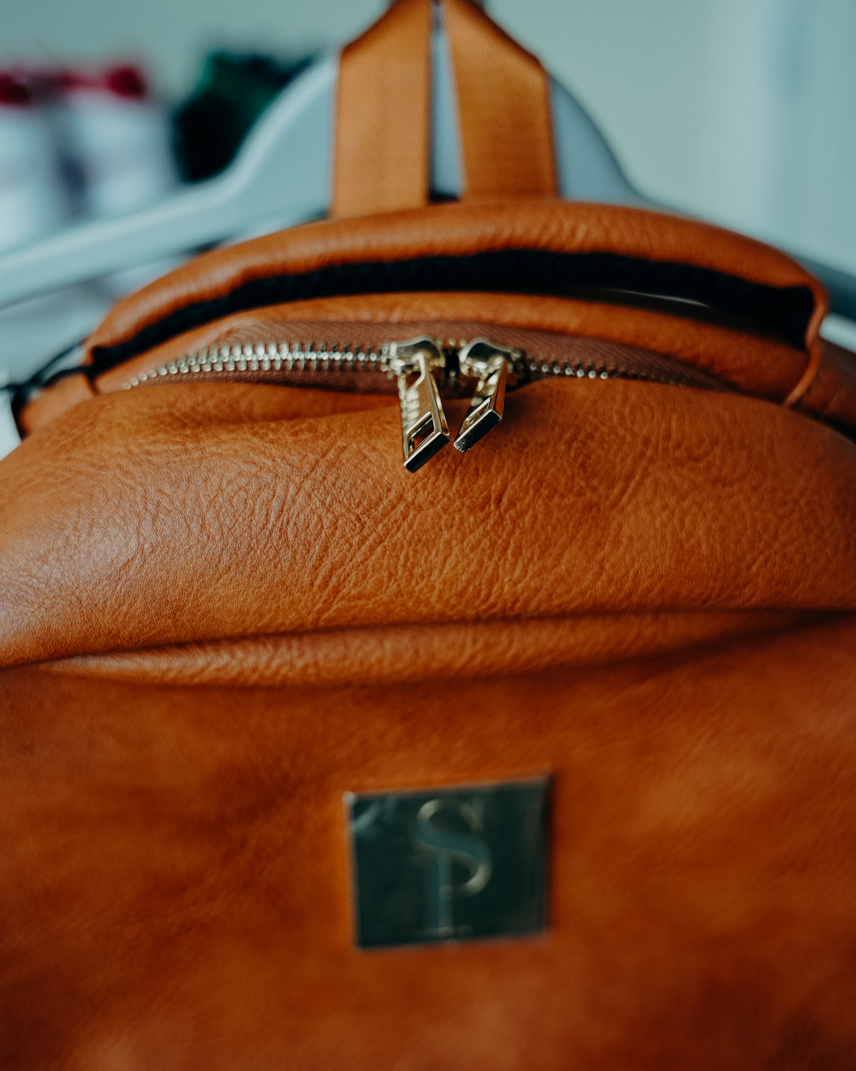 Sole Premise Sneaker/Laptop Backpack