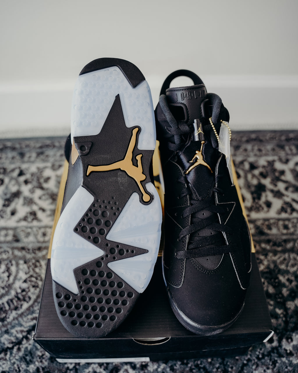 Jordan 6 DMP Sz 11
