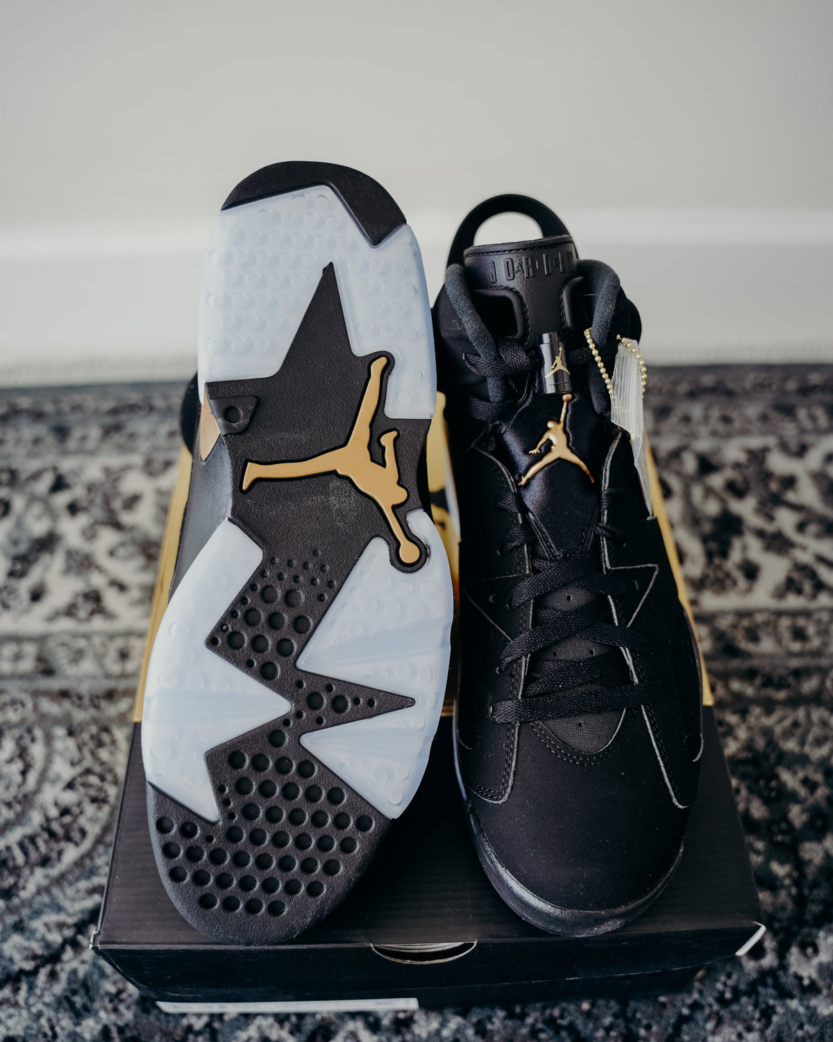 Jordan 6 DMP Sz 11