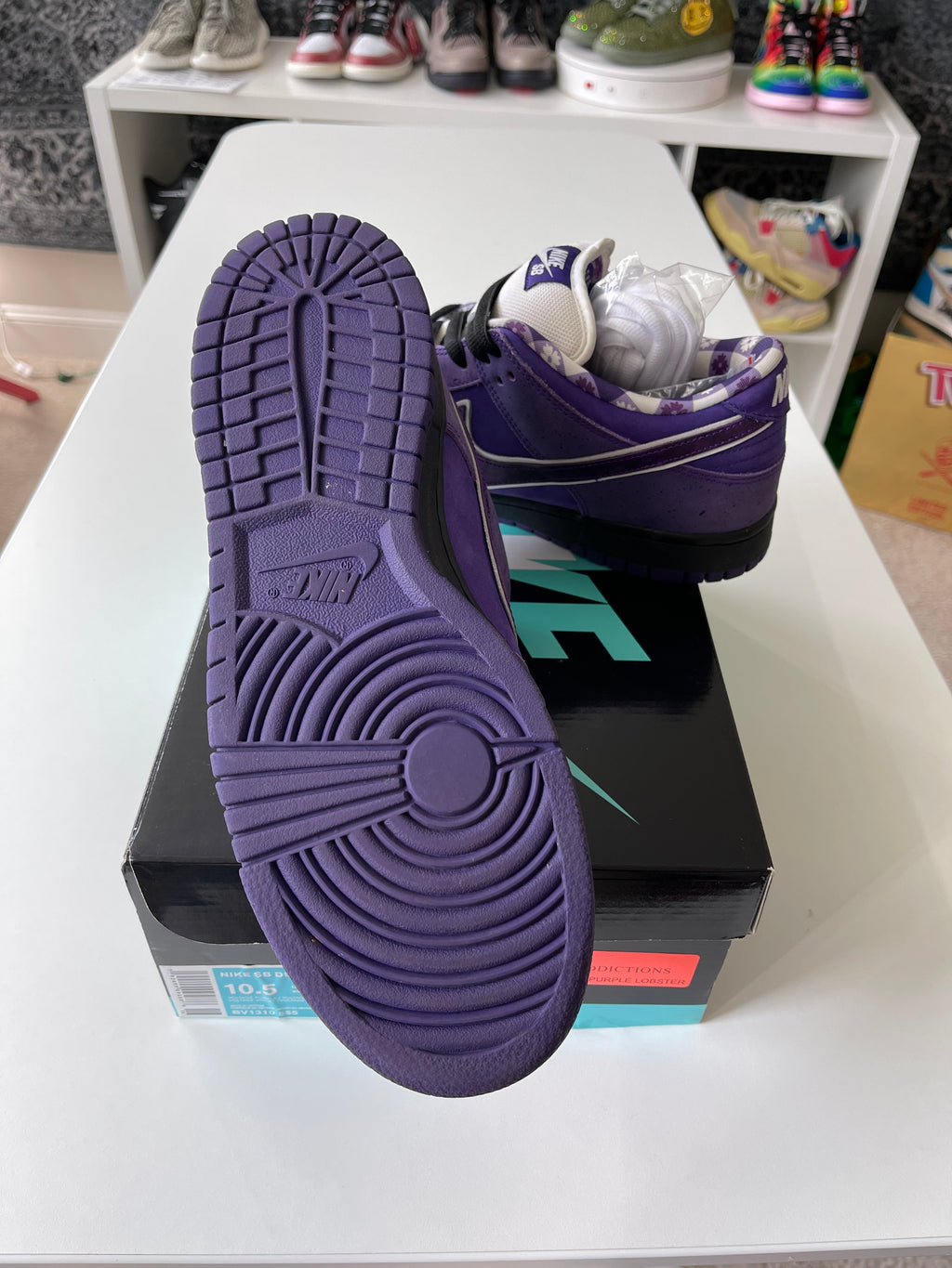 Nike SB Dunk LowPurple Lobster Sz 10.5