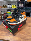 Jordan 1 high Shattered Backboard Sz 11