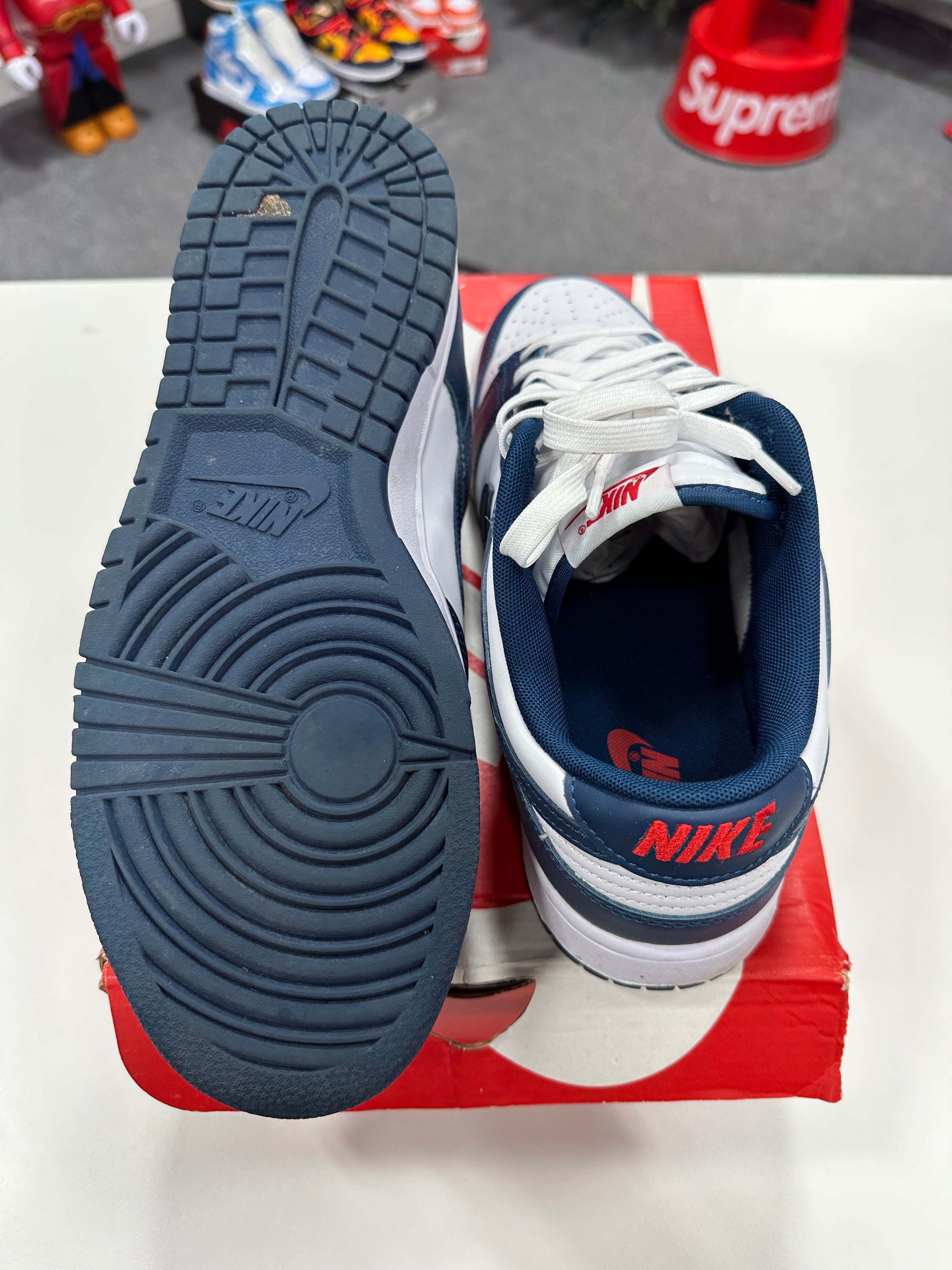 Nike Dunk Low Valerian Blue Sz 10.5