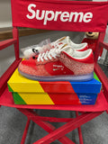 Nike Dunk SB Low Stingwater Sz 10.5