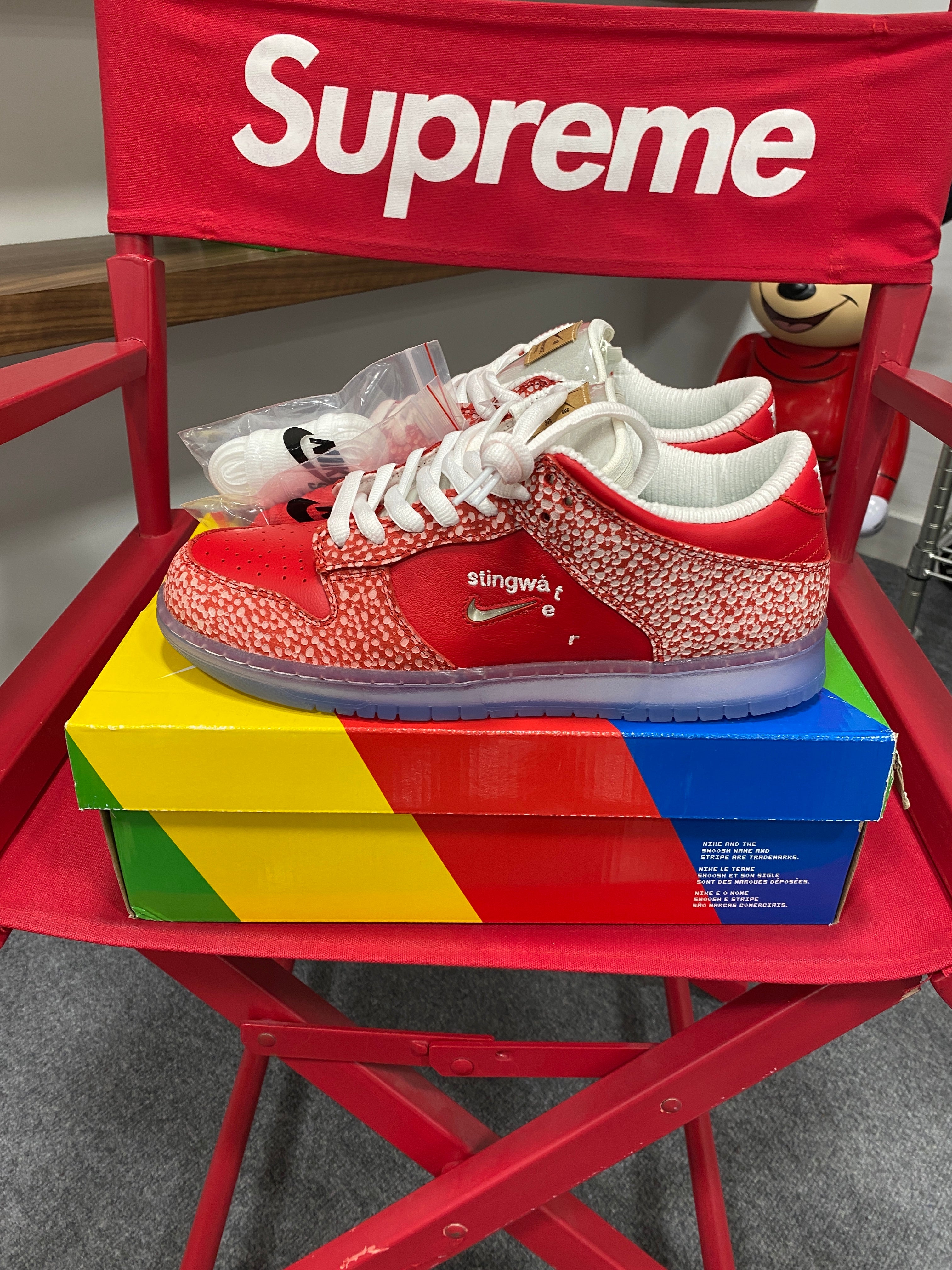 Nike Dunk SB Low Stingwater Sz 10.5