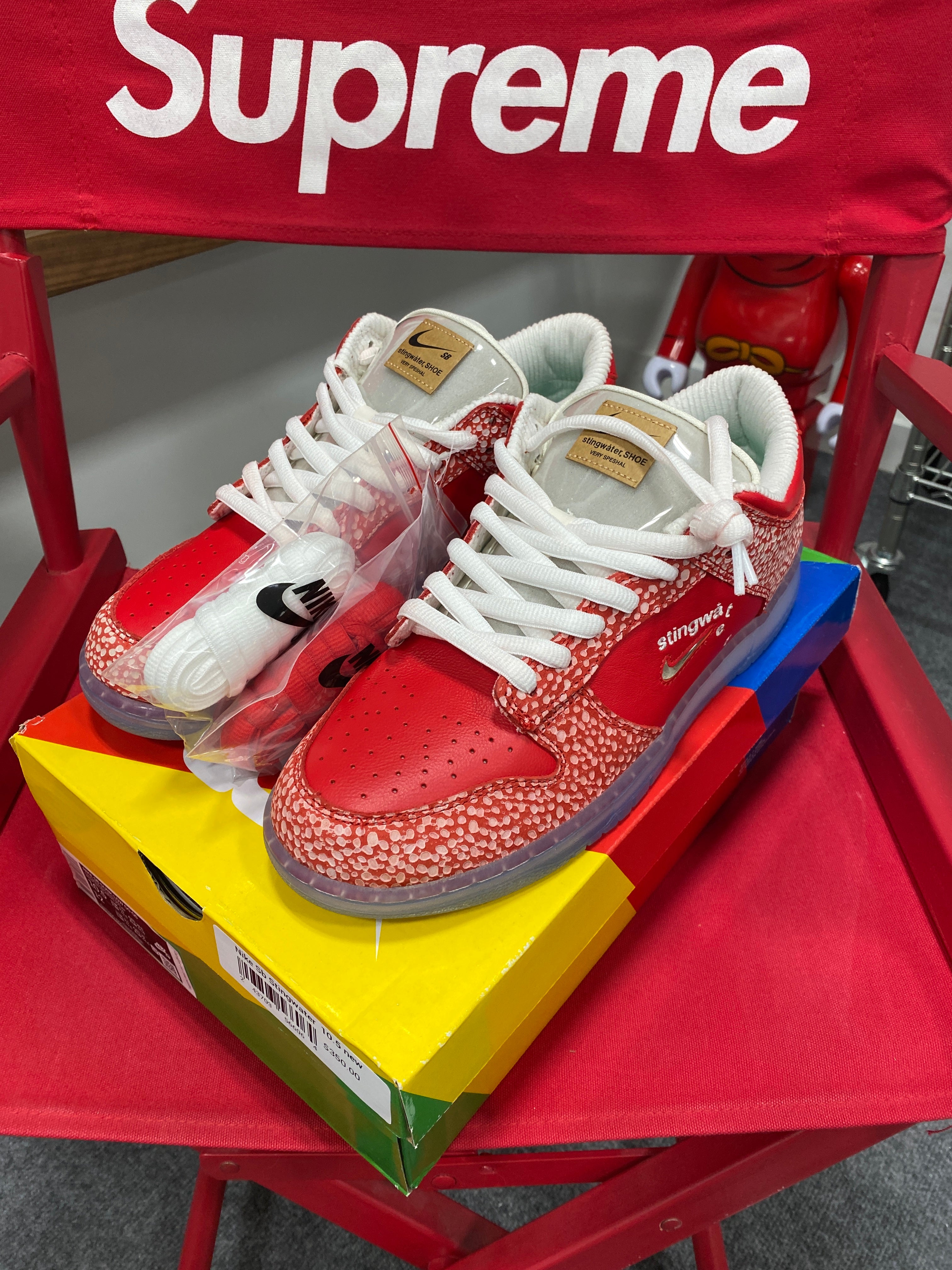 Nike Dunk SB Low Stingwater Sz 10.5
