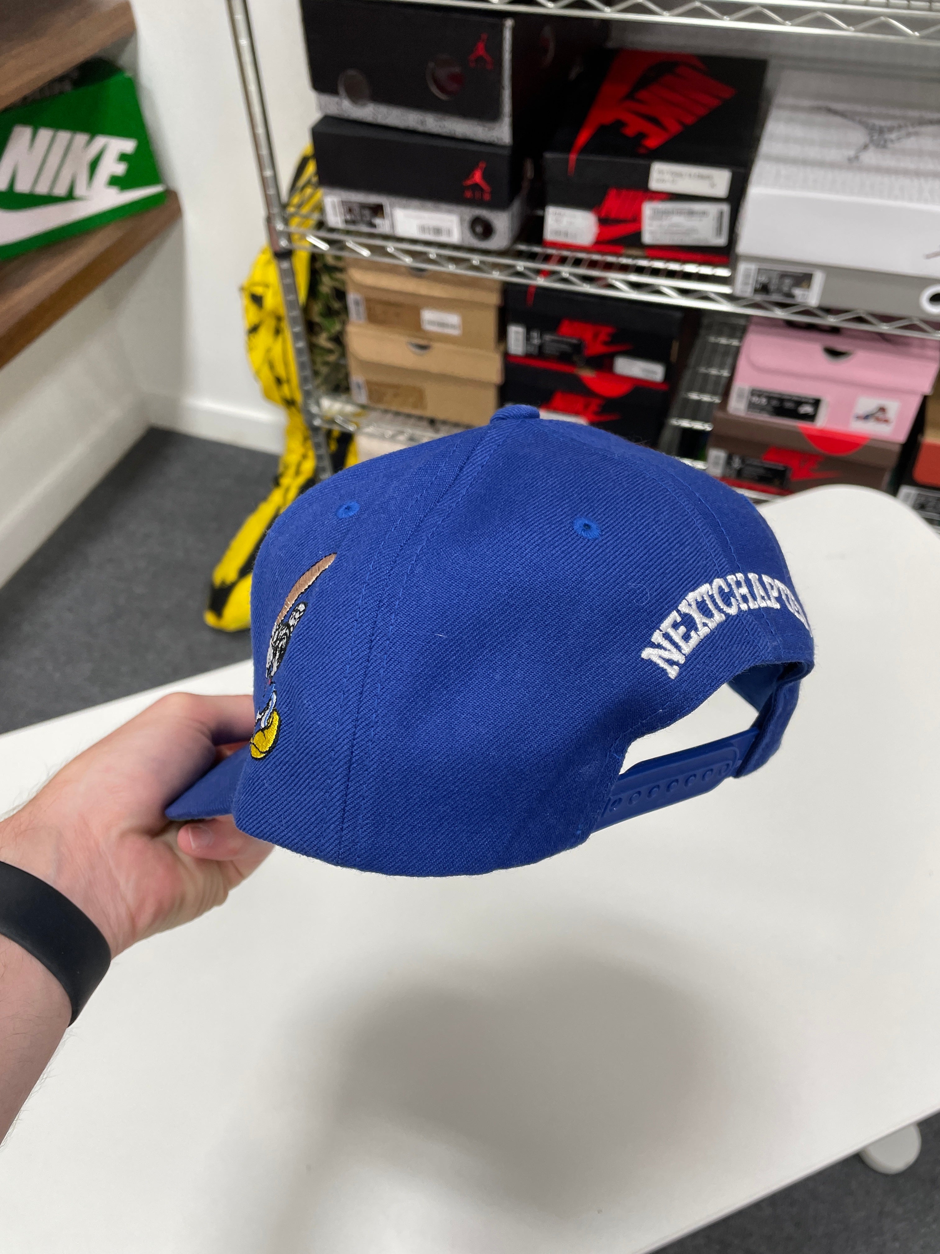 Boston Next Chapter LA Hat